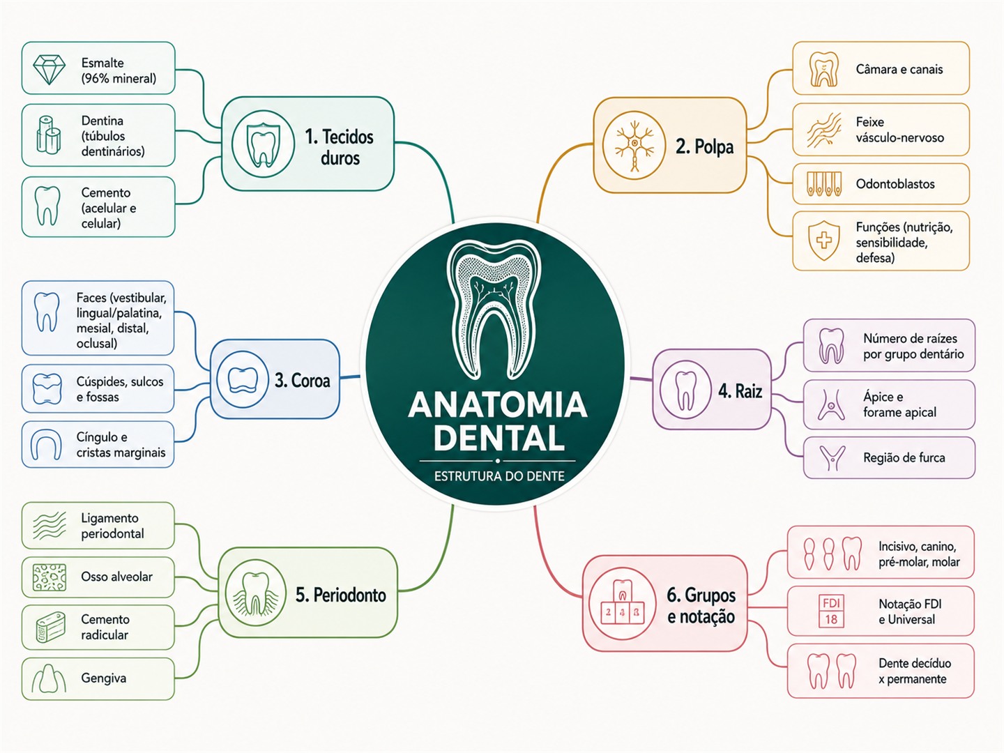 Mapa mental de Anatomia Dental completo, na tela do celular